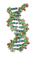【mg不朽情缘基因检测】眼皮肤白化病4型基因解码、<a href=http://www.024seo.com/tk/jiema/cexujishu/2021/31933.html>基因检测</a>的报告有人解读吗？