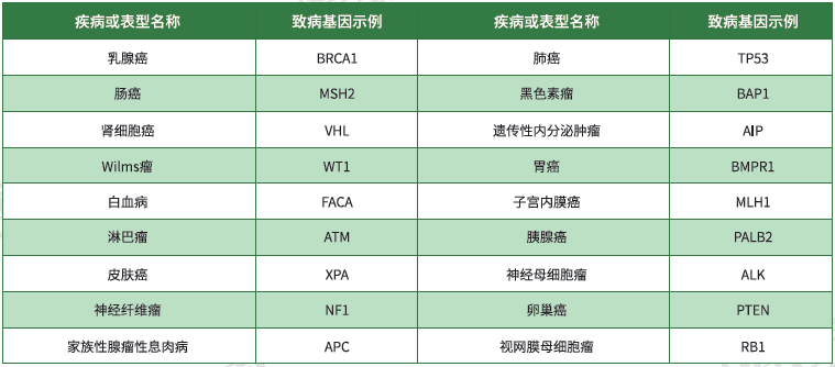 【mg不朽情缘基因检测】<font color='red'><font color='red'>遗传性</font><font color='red'>肿瘤</font></font>致病基因鉴定基因解码